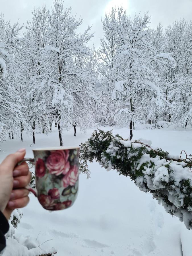 House Poljana Villa Plitvička Jezera Buitenkant foto