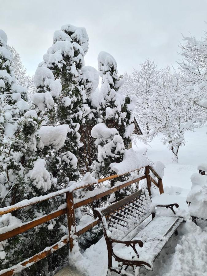 House Poljana Villa Plitvička Jezera Buitenkant foto