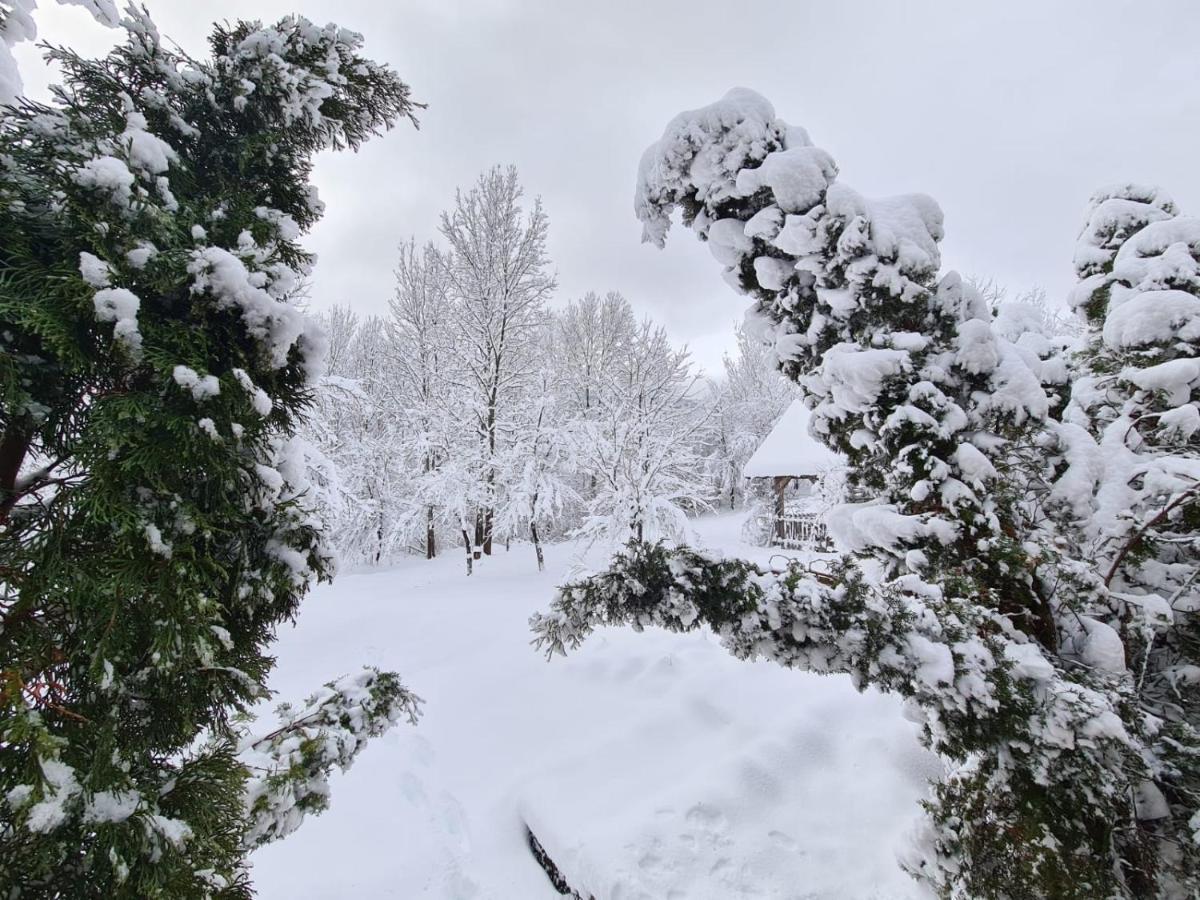 House Poljana Villa Plitvička Jezera Buitenkant foto