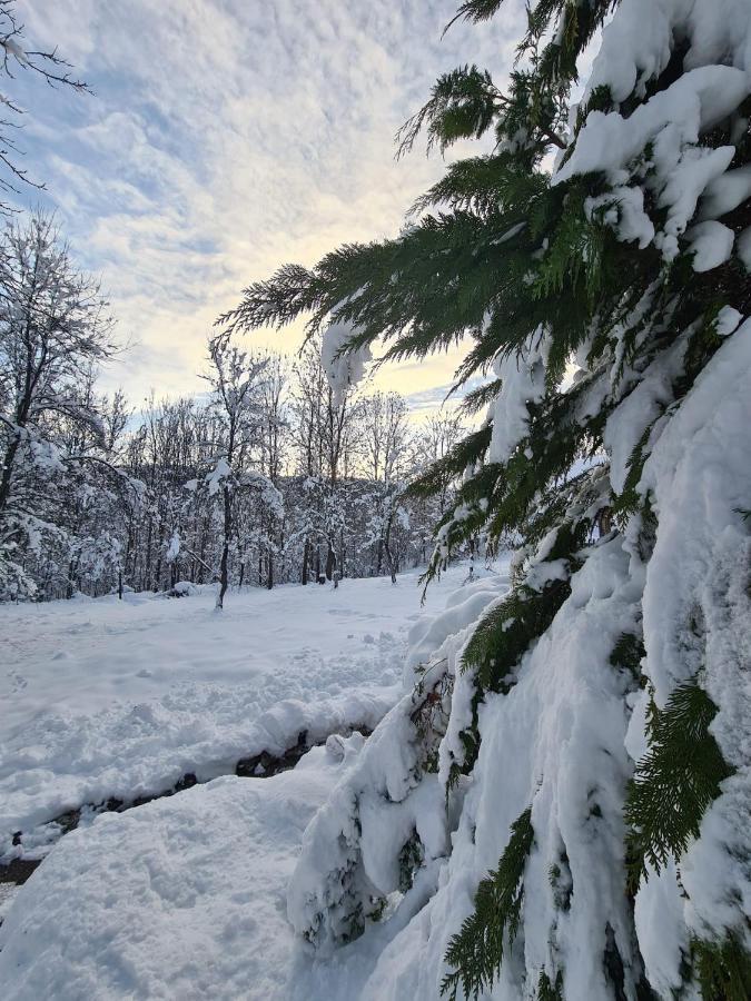 House Poljana Villa Plitvička Jezera Buitenkant foto