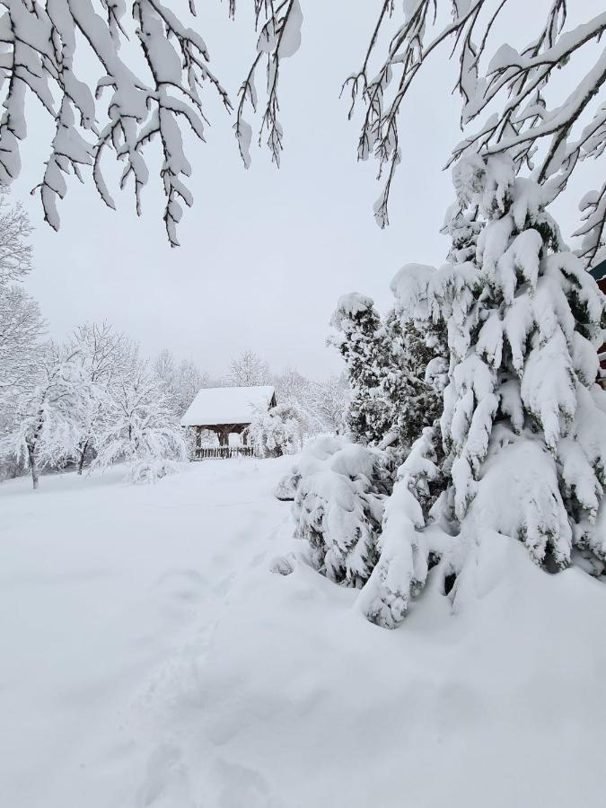 House Poljana Villa Plitvička Jezera Buitenkant foto