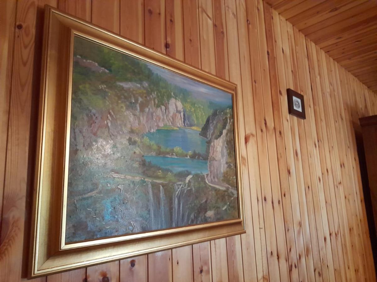 House Poljana Villa Plitvička Jezera Buitenkant foto
