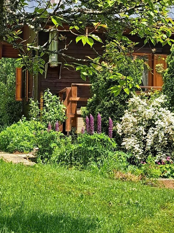 House Poljana Villa Plitvička Jezera Buitenkant foto